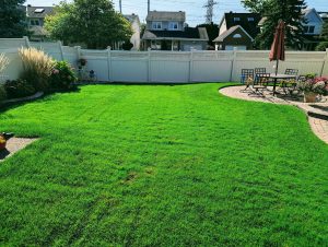 Green Haven Lawn Care photo 6